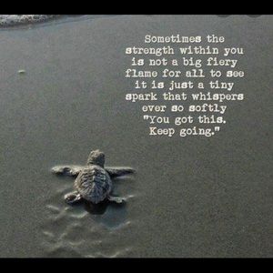 Meet your Posher, Carri